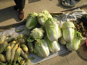 今日巨瓜,揭秘娱乐圈最新热点事件