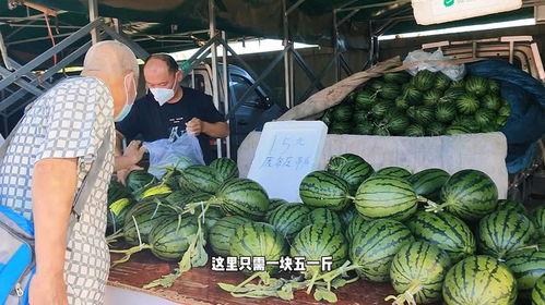 今日庞各庄小吊瓜售价,价格亲民引市民争相购买”