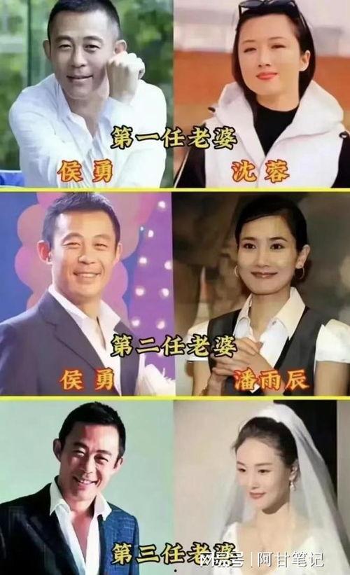 娱乐圈吃瓜指南明星代称,明星代称背后的秘密与趣味