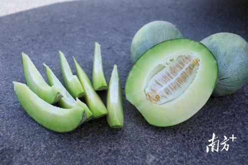 今日大瓜吃瓜网站