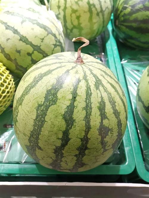 今日大瓜吃瓜网站