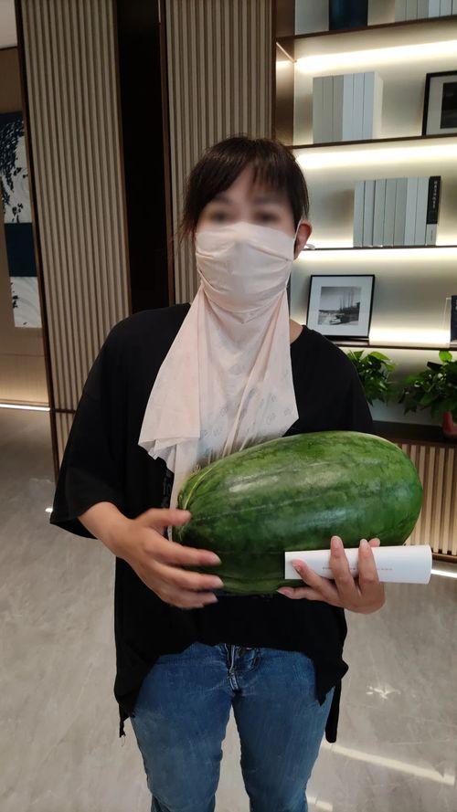 今日大瓜上位,揭秘娱乐圈最新热点事件