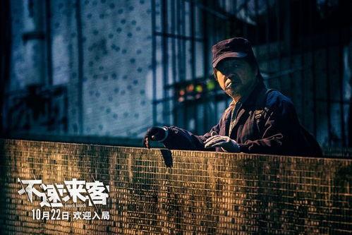 在线观看悬疑,揭秘在线悬疑剧的惊悚之旅