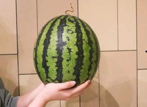 今日广州吃瓜,一网打尽今日新鲜事