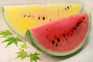 吾爱吃瓜今日大瓜,今日大瓜盘点，精彩瞬间不容错过