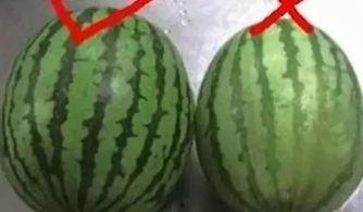 吃瓜今日吃瓜汇总,热点事件一网打尽