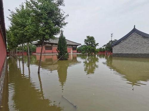 高碑店瓜今日行情