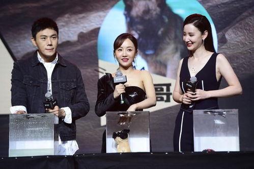 中国娱乐圈吃瓜合集,揭秘中国娱乐圈吃瓜合集