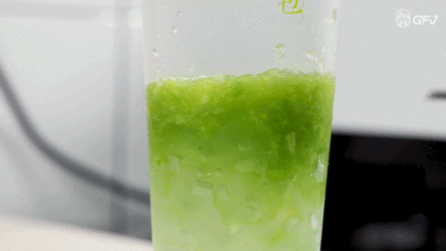 今日东莞瓜,探寻东莞美食文化的甜蜜奥秘