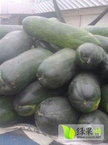 今日黑瓜,揭秘娱乐圈最新热点事件