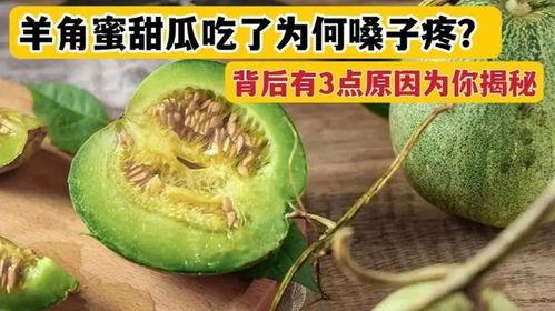 今日瓜很甜,今日瓜果盛宴，尽享丰收喜悦