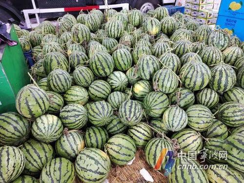 今日大瓜-51吃瓜,揭秘今日娱乐圈大瓜，热点事件一网打尽